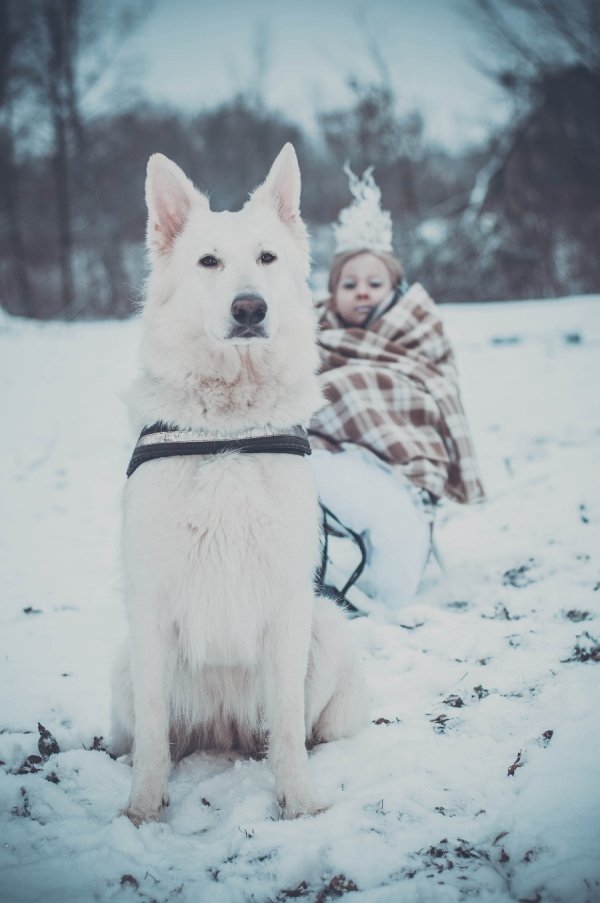 Фотовиставка: Юлія Вітова