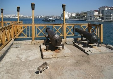 У Криму зводять нове Межигір'я для Януковича, ‒ ЗМІ. ФОТО