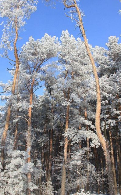 Казковий Стир скувало кригою. ФОТО