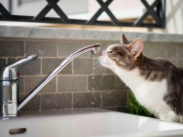 В окремих районах Луцька – проблеми із водопостачанням