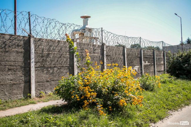 Безіменна вулиця і неназваний ставок: чим особливий неквапливий Вишків. ФОТО
