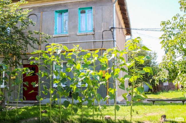 Безіменна вулиця і неназваний ставок: чим особливий неквапливий Вишків. ФОТО