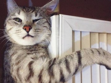 Стало відомо, коли лучани отримають тепло