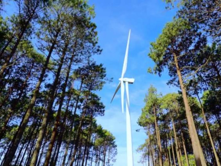 Поблизу Луцька збудують вітрову електростанцію