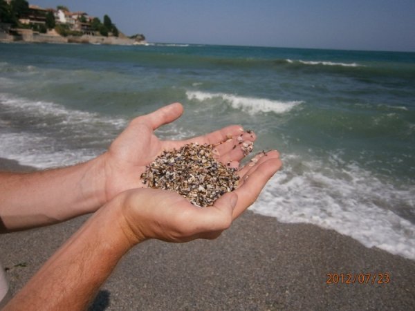 Автор - Лариса Жаловага