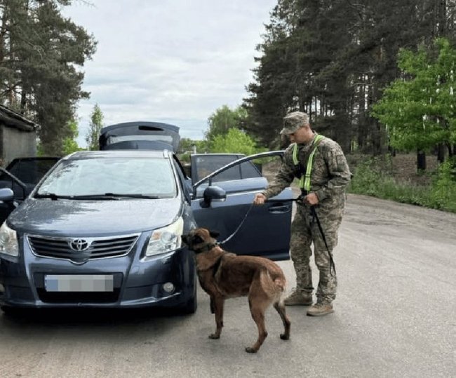 Як волинський прикордонник та його пес Ігнес охороняють кордон з Білоруссю