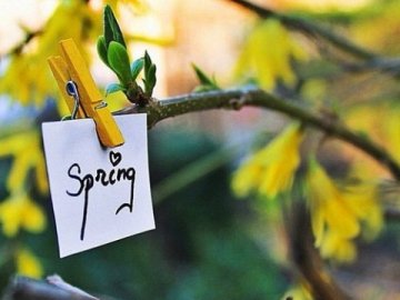 Погода в Луцьку та Волинській області на четвер, 5 квітня