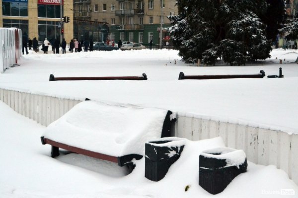 Лютий лютує: фото зими в Луцьку