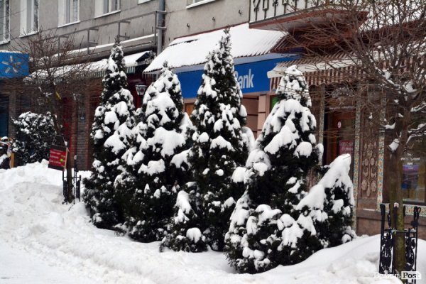 Лютий лютує: фото зими в Луцьку