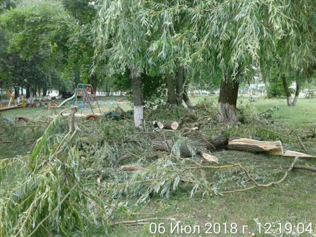 У Луцьку посеред дитмайданчика – купа гілля. ФОТО