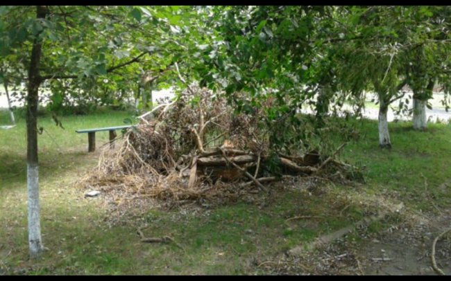 У Луцьку посеред дитмайданчика – купа гілля. ФОТО