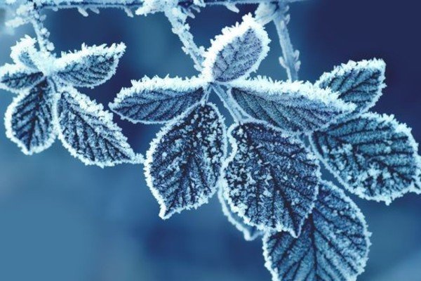 17 грудня – День Варвари: чому жінкам сьогодні не можна працювати