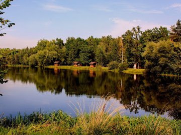 На Волині через аукціон шукають орендаря ділянки для рибгосп потреб