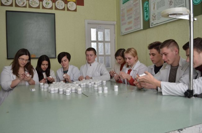 Луцькі медики заготували для воїнів трав’яні чаї та цілющі мазі