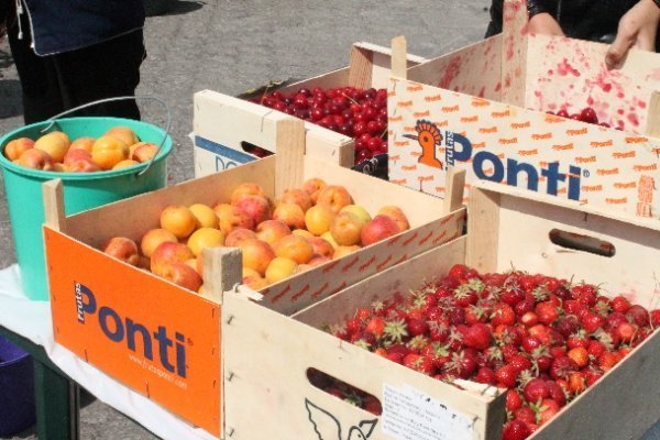 У Луцьку ‒ сільськогосподарський ярмарок. ФОТО