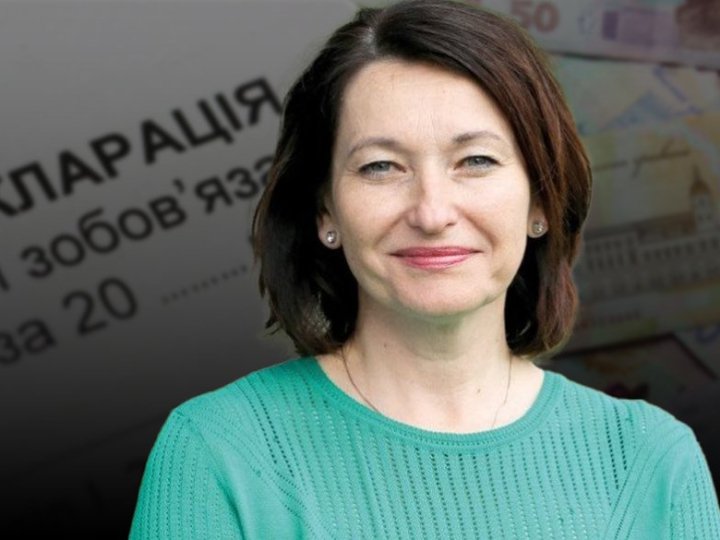 Що задекларувала народна депутатка з Волині Ірина Констанкевич