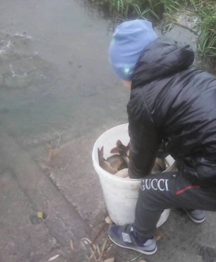 У річку Турію запустили сотні кілограмів риби