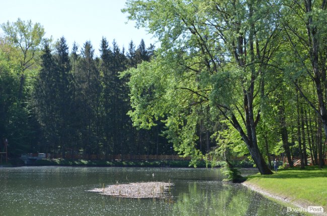 Експрес-подорож областю: на Волині – лісівники з усієї країни. ФОТО