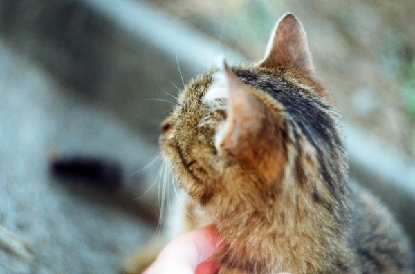 Фотовиставка Надії Міщук