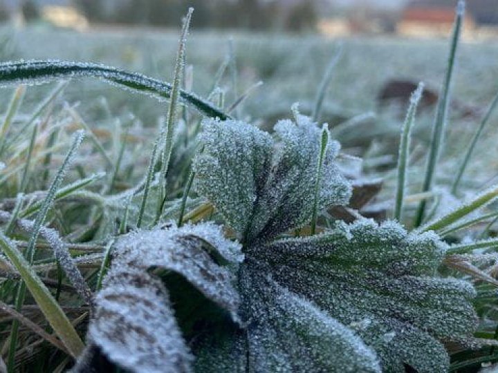 Волинян попереджають про заморозки на поверхні ґрунту до -3 °C