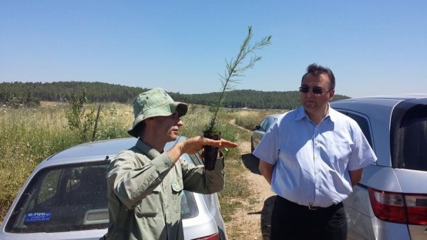 Фото з сторінки Роща Небесной Сотни / Sky Hundred Grove в Facebook