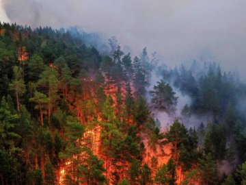 РФ не справляється з масштабною пожежею у Сибіру, бо військові та літаки на війні, – ЗМІ