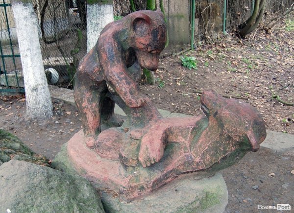 Іноземці забрали ведмежа із луцького зоопарку. ФОТО. ВІДЕО