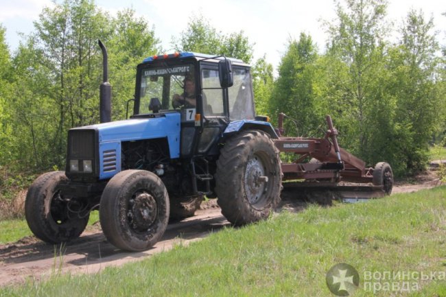 Як район на Волині заробляє на лісових скарбах