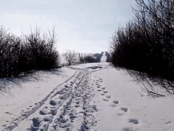 На Волині дорогу, яка веде від села до траси Луцьк – Львів, досі не розчистили від снігу
