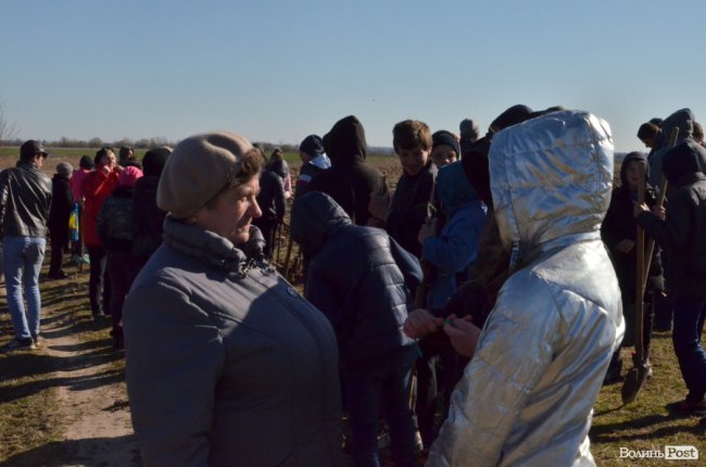 Екологічна акція у Промені, або Як у шквальний вітер народжувався новий ліс. ФОТО