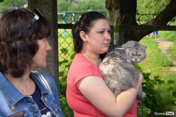 Які двори оновлять в мікрорайоні ДПЗ цього року. ФОТО