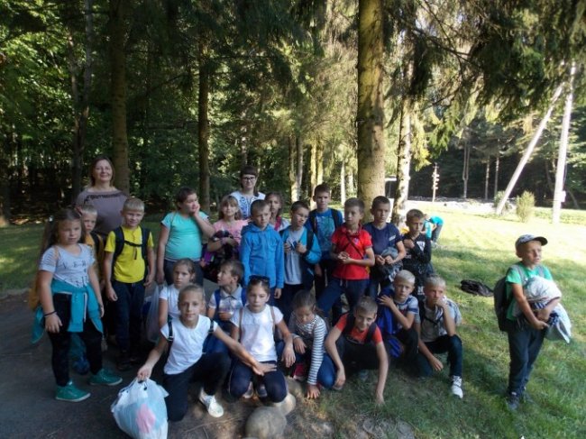 Дітлахи на Волині заготовляють жолуді древнього дуба. ФОТО