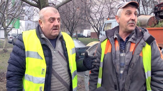 Як у Луцьку збирають та утилізують новорічні дерева. ВІДЕО