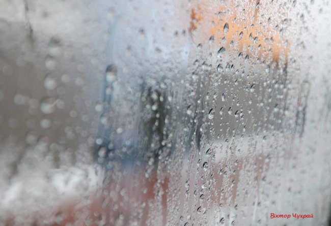 Фотограф показав засніжений Луцьк