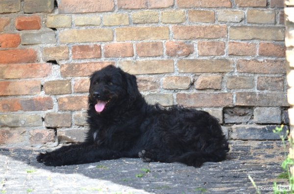 Фотопогляд: старий Луцьк 