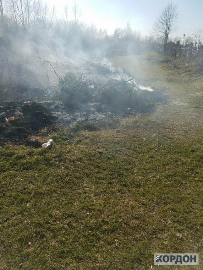 У місті на Волині  через спалювання трави ледь не згоріло кладовище. ФОТО