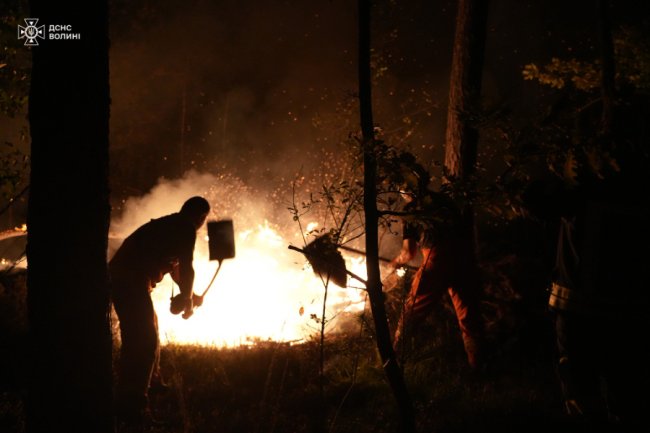 У Луцькій громаді горить ліс: на пожежі працюють 40 рятувальників. ВІДЕО