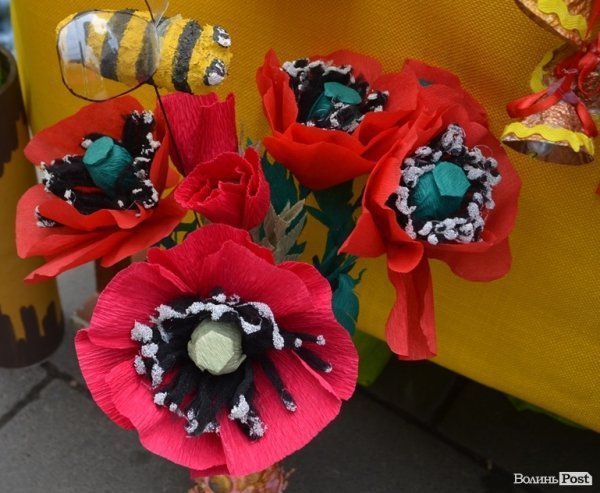 У центрі Луцька – свято учнівської пісні, танцю і вишиванки. ФОТО