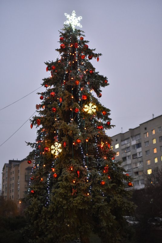 Як святий Миколай вітав дітей біля луцького РАЦСу. ФОТО