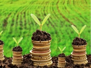 На Волині із орендаря стягнули 1,7 мільйона гривень заборгованої плати за землю