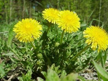 Синоптик розповіла, коли українцям очікувати потепління 