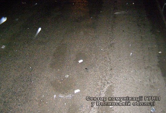 У Ковелі п’яний водій «Volkswagen» збив на смерть жінку. ФОТО