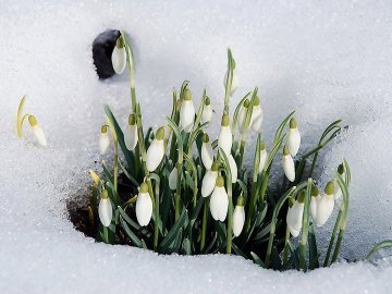 Погода в Луцьку та Волинській області на п’ятницю, 3 березня