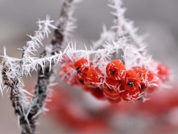Погода в Луцьку та Волинській області на вівторок, 5 січня