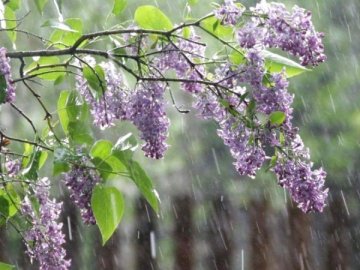 Погода у Луцьку на завтра, 30 травня