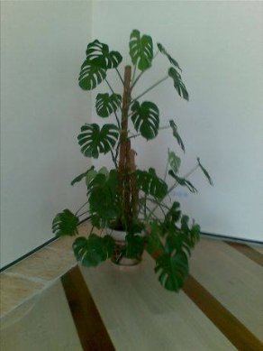 Фото з сторінки журналіста Мирослава Ватащука в Facebook