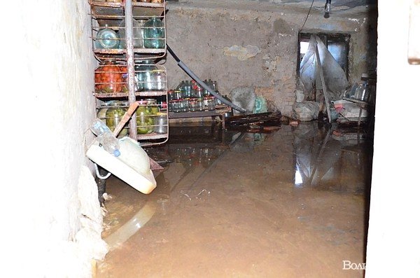 У підвалі будинку в центрі Луцька 20 років стоїть вода. ФОТО