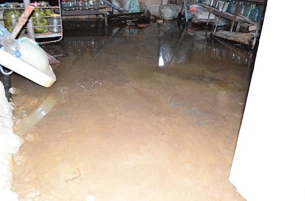 У підвалі будинку в центрі Луцька 20 років стоїть вода. ФОТО