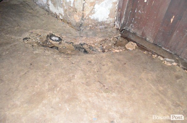 У підвалі будинку в центрі Луцька 20 років стоїть вода. ФОТО