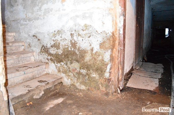 У підвалі будинку в центрі Луцька 20 років стоїть вода. ФОТО